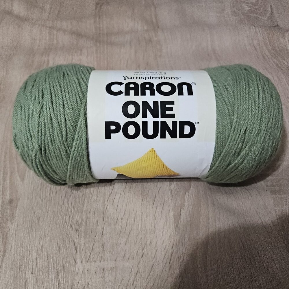 Caron One Pound 100% Acrylic Yarn 10655 Succulent 812 Yards - 16oz - #4 Worsted
